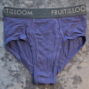 Fruit of the Loom Blue Briefs Classic Fit